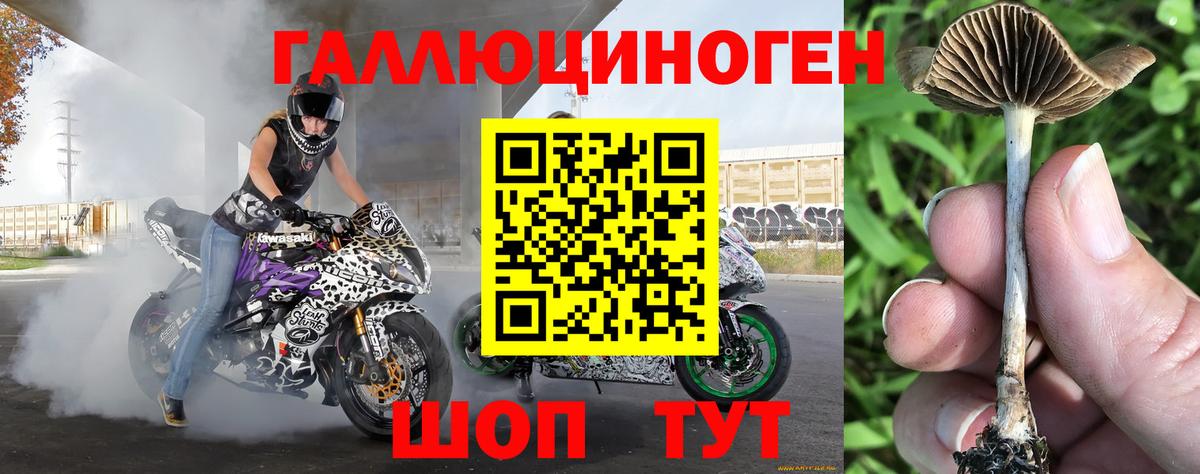 Лениногорск  Галлюциногенные грибы Psilocybe  Вход с VPN 